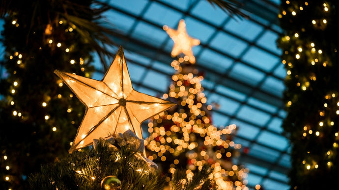 Christmas tree prices can teach us to think strategically